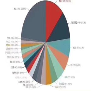 小语种推广